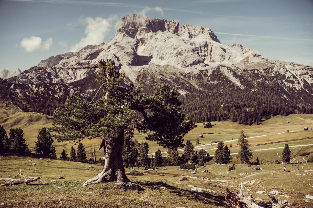 Garni Bergblick Otel Braies  Dış mekan fotoğraf